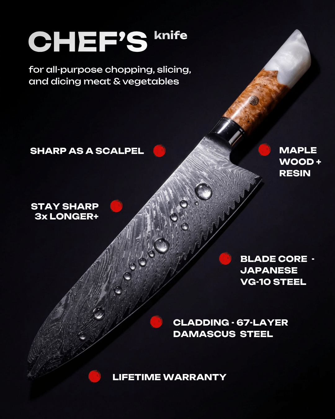 Japanese Damascus Chef Knife 10" – 67-Layer VG-10 Steel | Tegami