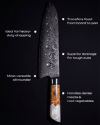Chef's Japanese Knife, Damascus Steel, 10", Tegami