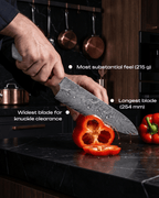 Chef's Japanese Knife, Damascus Steel, 10", Tegami