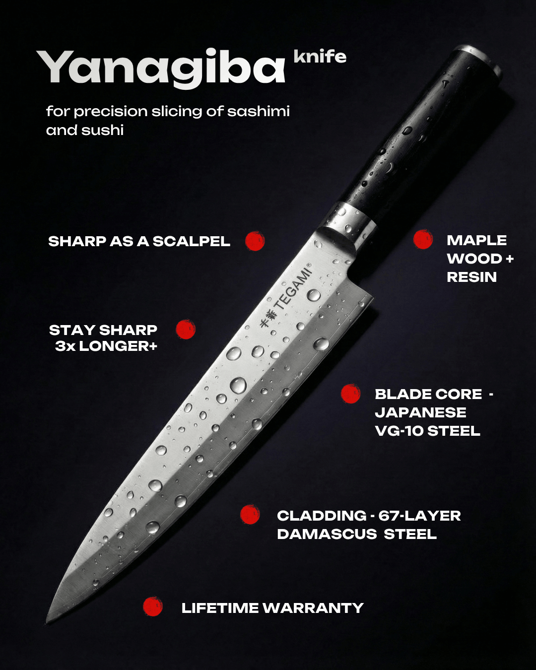Japanese Damascus Yanagiba Knife – 67-Layer VG-10 Steel | Tegami